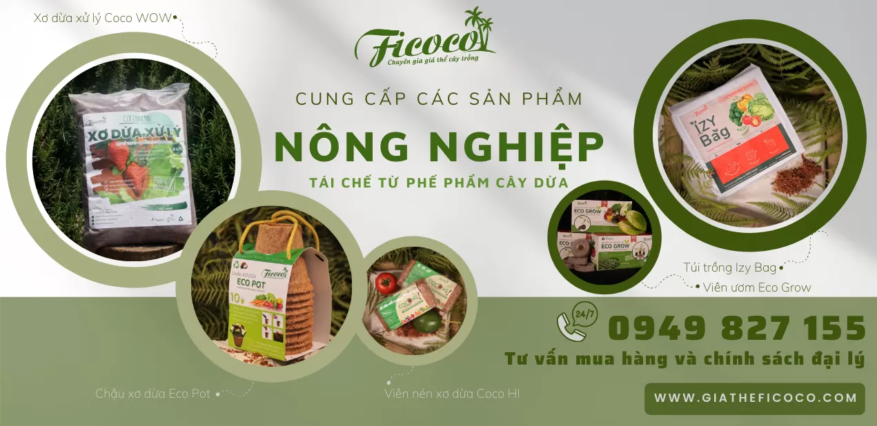 Giá thể trồng cây trong<br> mô hình nhà màng