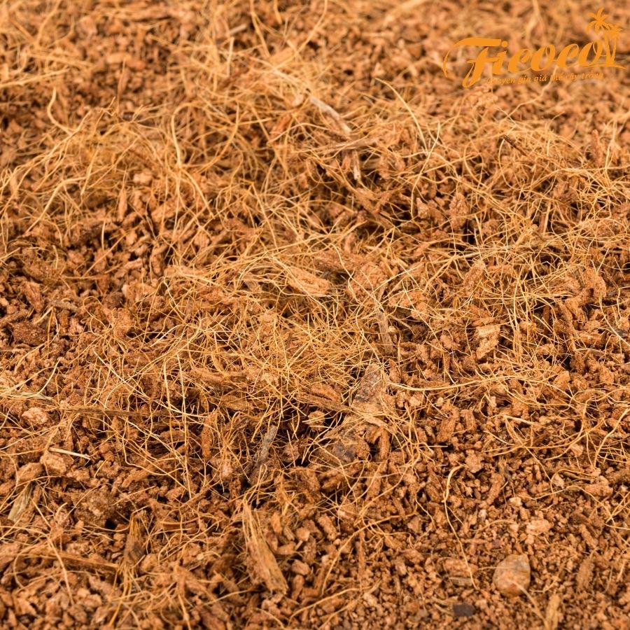 COMBO 10 VIÊN NÉN XƠ DỪA 500GR