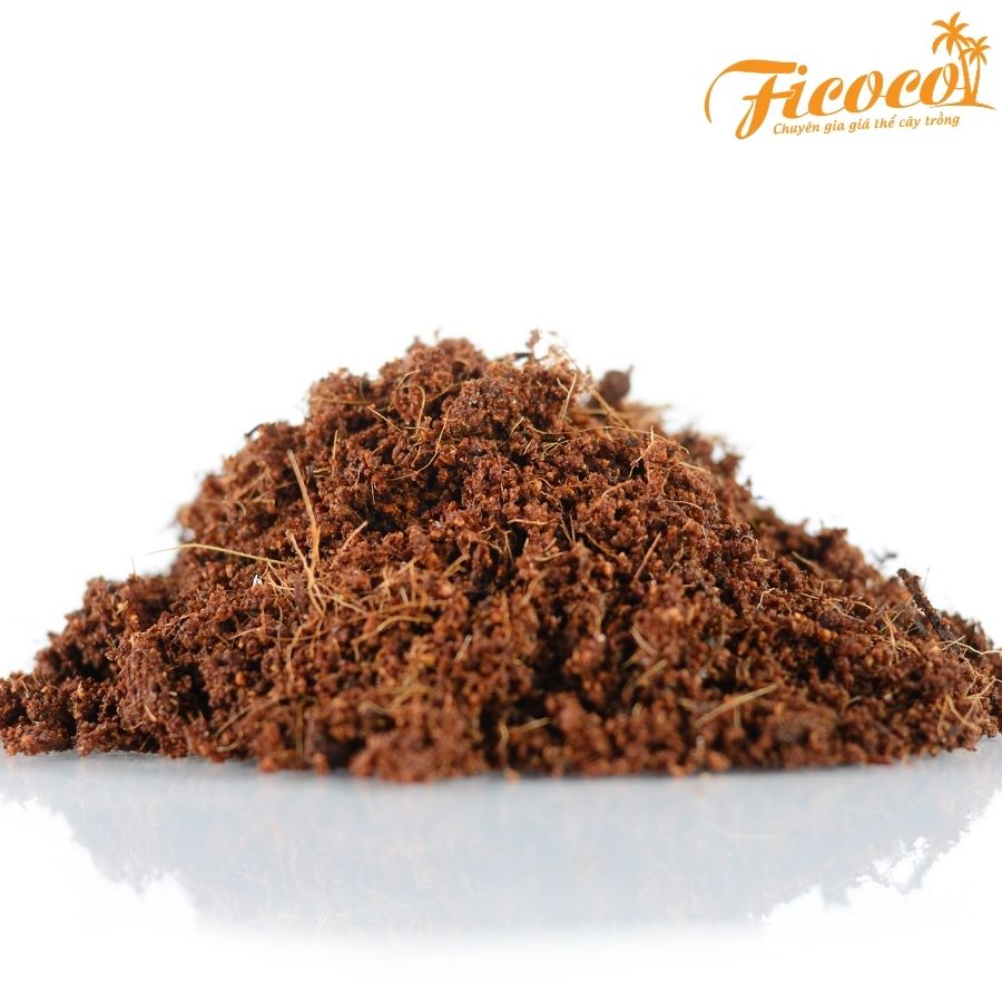 COMBO 10 VIÊN NÉN XƠ DỪA 500GR