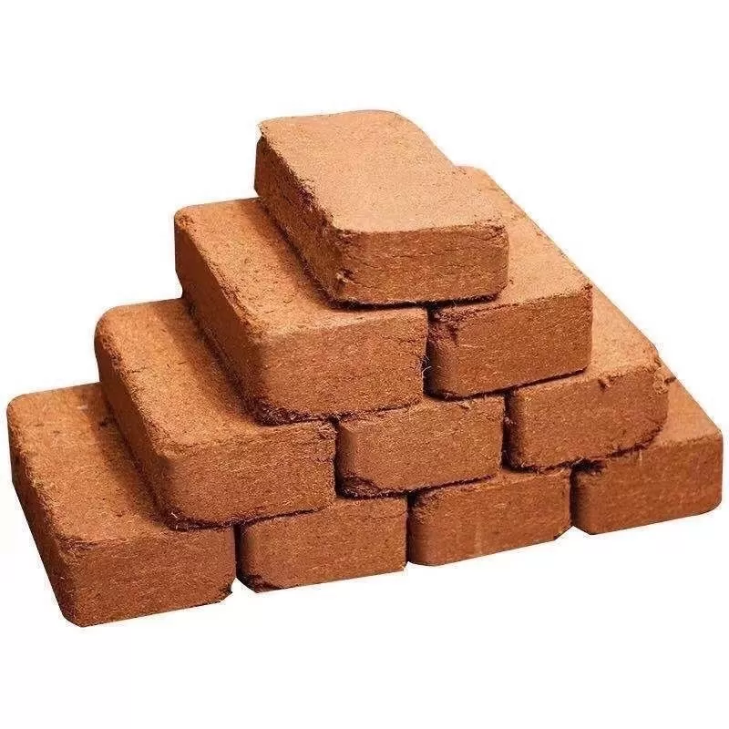 COMBO 10 VIÊN NÉN XƠ DỪA 500GR