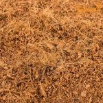 COMBO 10 VIÊN NÉN XƠ DỪA 500GR