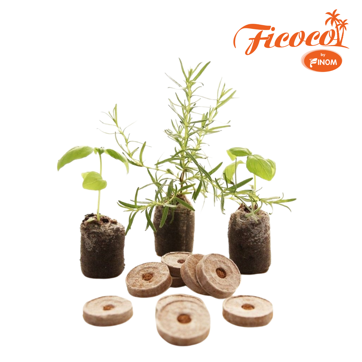 THÙNG VIÊN NÉN XƠ DỪA ƯƠM HẠT ECO GROW