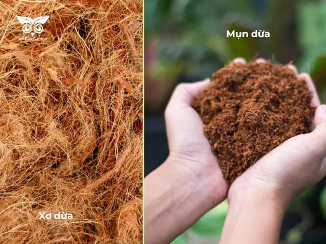 HƯỚNG DẪN CÁCH CHẾ BIẾN SƠ DỪA LÀM GIÁ THỂ CHO CÂY